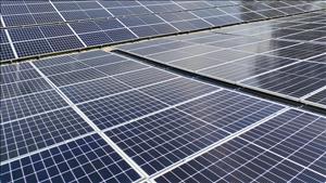 Phấn đấu hoàn thành các mục tiêu, chỉ tiêu phát triển kinh tế - xã hội năm 2025