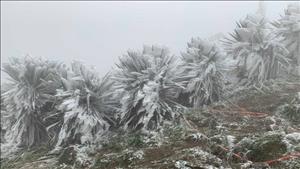 Miền Bắc chuẩn bị đón đợt không khí lạnh mới, trời chuyển mưa rét