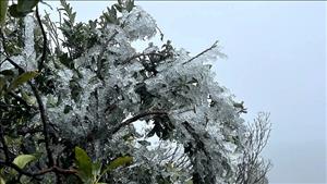 Không khí lạnh tăng cường, miền Bắc rét đậm, rét hại