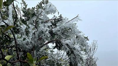 Không khí lạnh tăng cường, miền Bắc rét đậm, rét hại