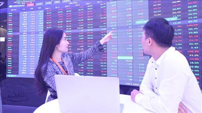 Danh mục cổ phiếu cần quan tâm ngày 26/1