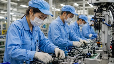 Thủ tướng chỉ đạo xử lý kiến nghị của doanh nghiệp, hiệp hội doanh nghiệp
