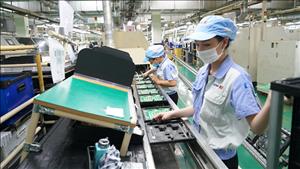 Phát triển kinh tế tư nhân là lực lượng nòng cốt, góp phần xây dựng Thủ đô