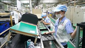 Triển khai đồng bộ cơ chế, chính sách đặc biệt nhằm thúc đẩy phát triển kinh tế tư nhân