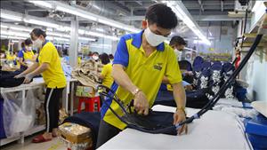 Tăng trưởng GDP quý III/2025 ước đạt 8,22%