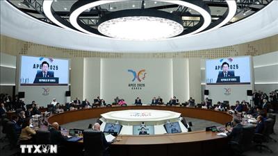 APEC nâng dự báo tăng trưởng năm nay, cảnh báo thách thức phía trước