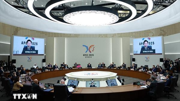 APEC nâng dự báo tăng trưởng năm nay, cảnh báo thách thức phía trước