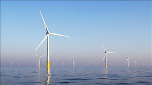 Tiếp tục hoàn thiện chính sách, cơ chế “kinh tế biển xanh”