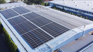 Chuyển đổi xanh, phát triển kinh tế tuần hoàn để hiện thực hóa các mục tiêu tăng trưởng