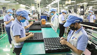 Thực hiện các nhiệm vụ thúc đẩy tăng trưởng kinh tế