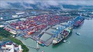 TPHCM xây dựng danh mục nhóm ngành kinh tế biển được hưởng cơ chế, chính sách ưu đãi