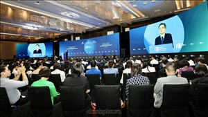 Không để nguồn lực bị ách tắc vì chậm trễ trong tổ chức thực hiện