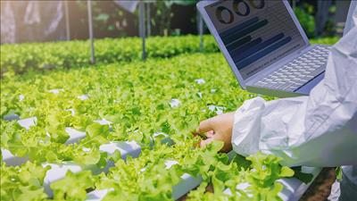 Ứng dụng, chuyển giao khoa học công nghệ thúc đẩy phát triển kinh tế tuần hoàn trong nông nghiệp