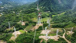 Thành lập Ban chỉ đạo quốc gia triển khai Nghị quyết 79-NQ/TW về phát triển kinh tế nhà nước