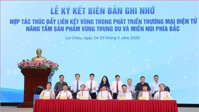 Phát triển thương mại điện tử, nâng tầm sản phẩm vùng trung du và miền núi phía Bắc