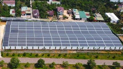 Lâm Đồng tiếp tục xử lý hệ thống điện mặt trời không phép tại khu công nghiệp