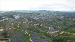 Trang trại lắp 2,23 triệu tấm pin mặt trời hoạt động tại Lào