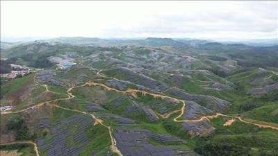 Trang trại lắp 2,23 triệu tấm pin mặt trời hoạt động tại Lào