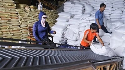 Tạo động lực nâng tầm lúa gạo xuất khẩu 2026