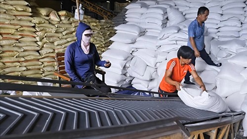 Tạo động lực nâng tầm lúa gạo xuất khẩu 2026