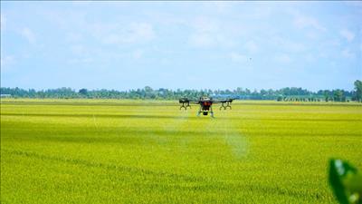 Đánh giá vai trò và tiềm năng các hệ thống sản xuất lúa giảm phát thải khí nhà kính