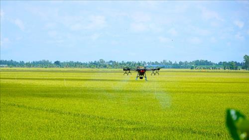 Đánh giá vai trò và tiềm năng các hệ thống sản xuất lúa giảm phát thải khí nhà kính
