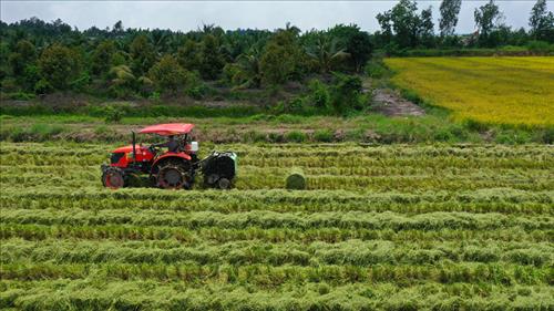 Xây dựng thương hiệu lúa gạo Việt Nam, nâng cao giá trị gia tăng trên thị trường quốc tế
