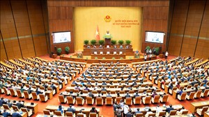 Thủ tướng phân công soạn thảo 27 văn bản quy định chi tiết thi hành 15 luật, nghị quyết