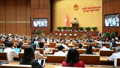 Thông qua Luật sửa đổi, bổ sung một số điều của Luật Doanh nghiệp