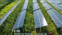 Bài học từ sự cố mất điện đầu tiên của kỷ nguyên xanh
