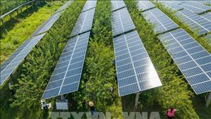 Bài học từ sự cố mất điện đầu tiên của kỷ nguyên xanh