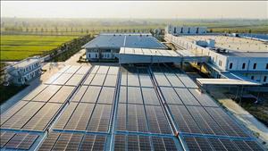 Thúc đẩy doanh nghiệp áp dụng chuyển đổi số, chuyển đổi xanh