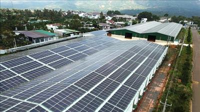 Xử lý hệ thống điện mặt trời mái nhà không phép trong khu công nghiệp