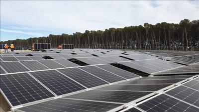 Giải pháp giúp tăng nhanh sản lượng điện mặt trời