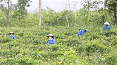 Đẩy nhanh tiến độ thực hiện chương trình mục tiêu quốc gia giai đoạn 2026 - 2030