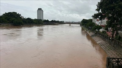Khẩn trương triển khai công tác đảm bảo an toàn đê điều ứng phó lũ trên các sông