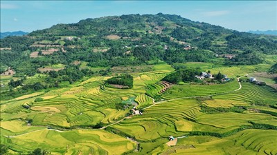 Tổ chức thực hiện hiệu quả Chương trình mục tiêu quốc gia phát triển văn hóa - xã hội, nông thôn, dân tộc miền núi