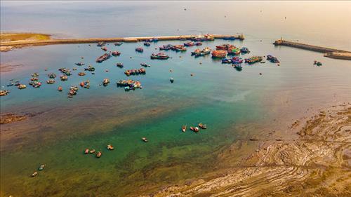 Khởi động chuỗi sự kiện vì môi trường xanh, biển sạch và phát triển bền vững