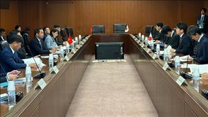 Việt Nam và Nhật Bản tiếp tục hợp tác giảm nhẹ rủi ro thiên tai, thích ứng với biến đổi khí hậu