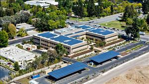 Toàn cầu tiếp tục cam kết với Net Zero