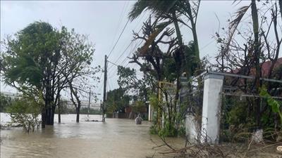 Khẩn trương khắc phục sự cố hệ thống lưới điện tại các khu vực bị ảnh hưởng bởi mưa lũ