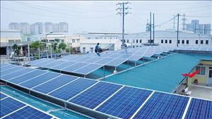 Hà Nội: Ứng phó với biến đổi khí hậu, bảo vệ môi trường theo hướng phát triển bền vững