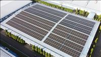 Cụ thể hóa con đường tới mục tiêu Net Zero
