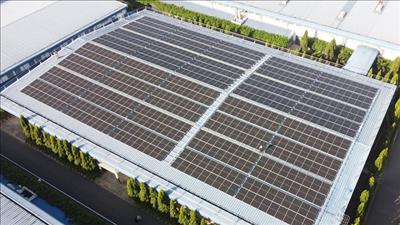 Cụ thể hóa con đường tới mục tiêu Net Zero