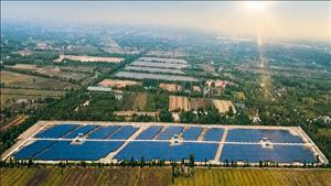 NSMO thông tin về việc doanh nghiệp tham gia cơ chế DPPA qua lưới điện quốc gia