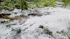 Ban chỉ đạo Phòng thủ dân sự quốc gia đề nghị các địa phương chủ động ứng phó với thiên tai