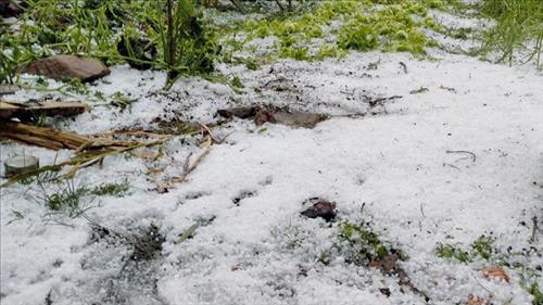 Ban chỉ đạo Phòng thủ dân sự quốc gia đề nghị các địa phương chủ động ứng phó với thiên tai