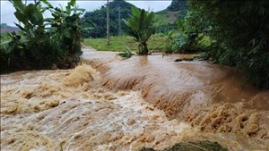 Ban chỉ đạo Phòng thủ dân sự quốc gia yêu cầu các địa phương chủ động ứng phó với thiên tai