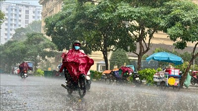 Nhiều khu vực có mưa rào rải rác, cục bộ có nơi mưa to