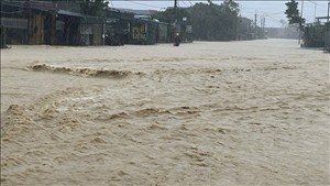 Triển khai ứng phó với mưa lớn, lũ quét và sạt lở đất